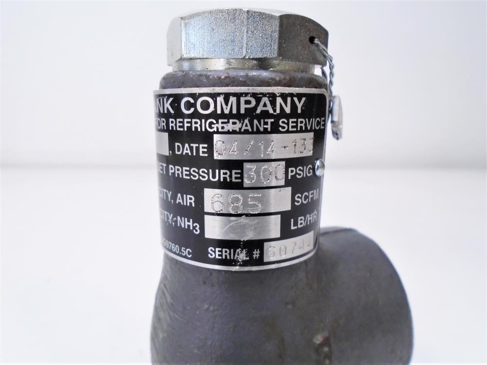 Cyrus Shank 1/2" x 1" NPT Safety Relief Valve, Type 813, 300 PSIG